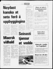 Síða 3