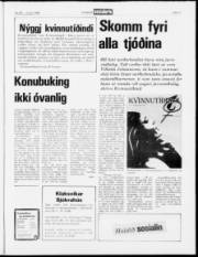 Síða 11