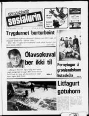 Síða 1