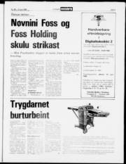 Síða 5