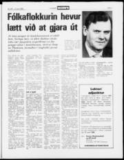 Síða 7