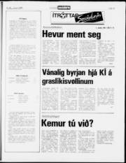 Síða 15