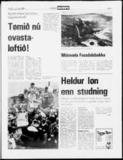 Síða 7