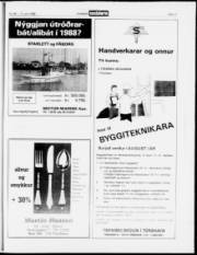 Síða 17