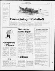 Síða 23