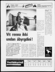 Síða 20