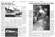 Síða 3