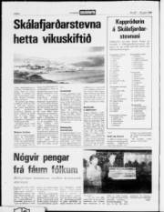 Síða 2