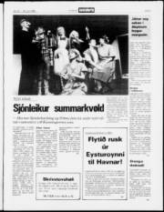 Síða 3