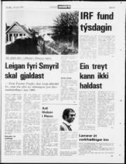Síða 23