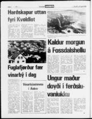 Síða 4