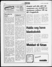 Síða 6