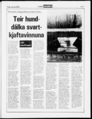 Síða 7