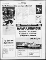 Síða 21