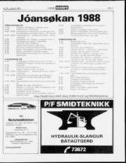Síða 11