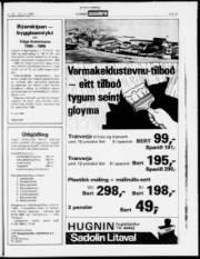 Síða 15