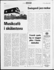 Síða 2