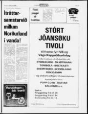 Síða 15