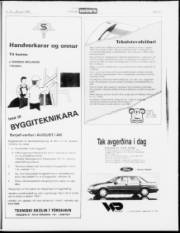 Síða 17