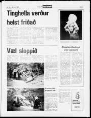 Síða 5