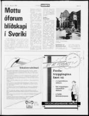 Síða 19
