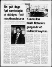 Síða 3