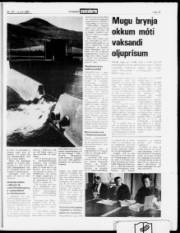 Síða 15
