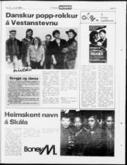 Síða 23