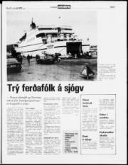 Síða 5