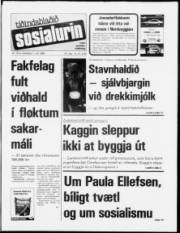 Síða 1