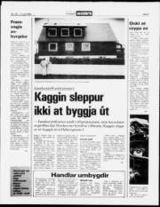 Síða 3
