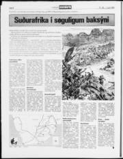 Síða 8