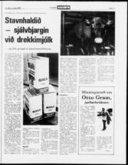 Síða 13