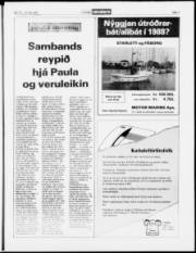 Síða 7