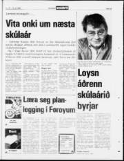 Síða 22