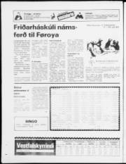 Síða 23