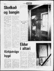 Síða 2