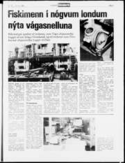 Síða 5