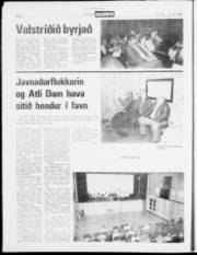 Síða 8