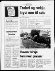 Síða 3