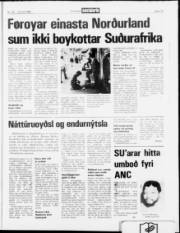 Síða 13