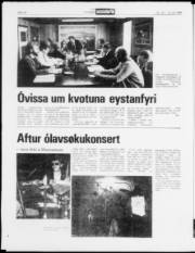 Síða 14