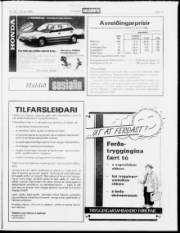 Síða 17