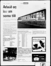 Síða 7