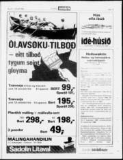 Síða 13