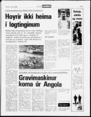 Síða 3