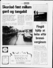 Síða 5