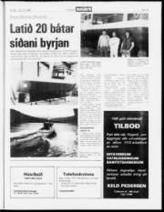 Síða 13