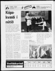 Síða 20