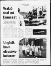 Síða 3